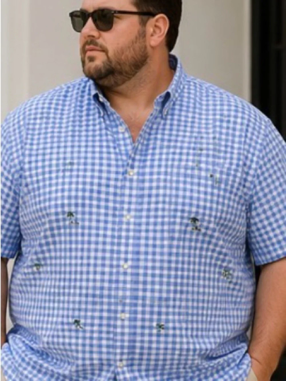 Polo Ralph Lauren Blue Gingham Palm Tree Embroidered Shirt Men’s 3XL